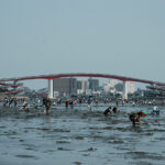 【朗報】潮干狩り！東京近郊の無料スポット！